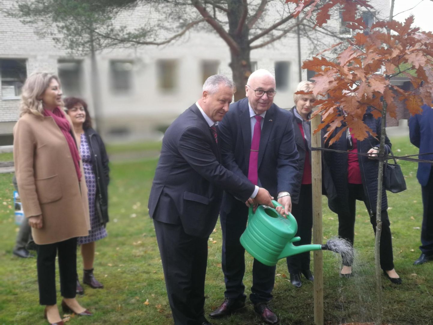 Moldova vabariigi auks istutati Aseri kooli ette puu.