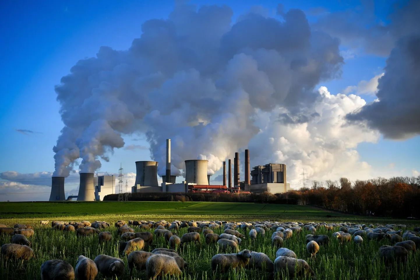 Power plant.