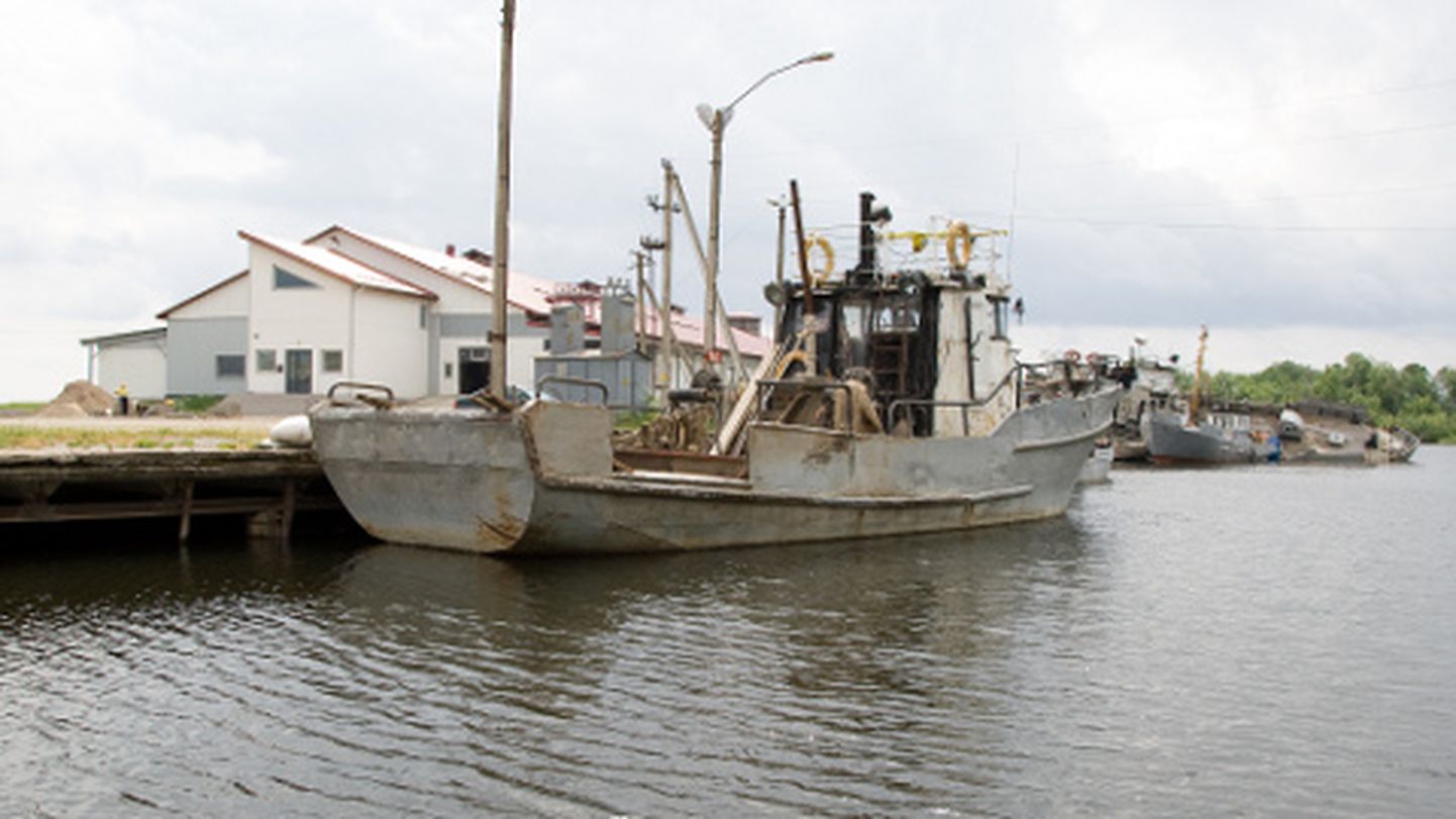 Lohusuu sadam on pikki aastaid toonud peavalu nii kohalikele kaluritele kui ka vallajuhtidele.