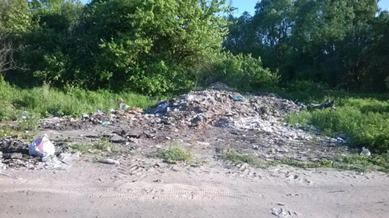 Raksta foto