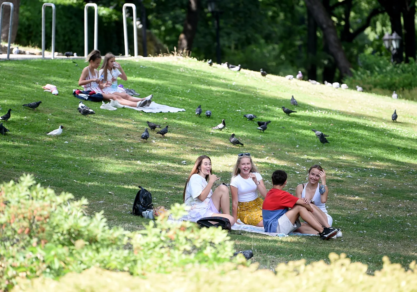 Cilvēki atpūšas Bastejkalna zālienā. Ilustratīvs foto