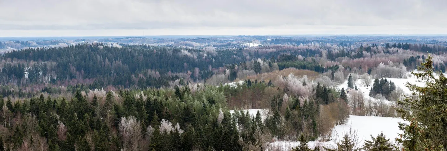 Kuigi Lõuna-Eesti lummab oma kauni maastiku ja puutumatu loodusega, jääb piirkond arengus maha mitmes valdkonnas. Arengulepe peaks aga tooma siia paremad teed ja transpordiühendused, kiire interneti ja tugevama ettevõtluskeskkonna.