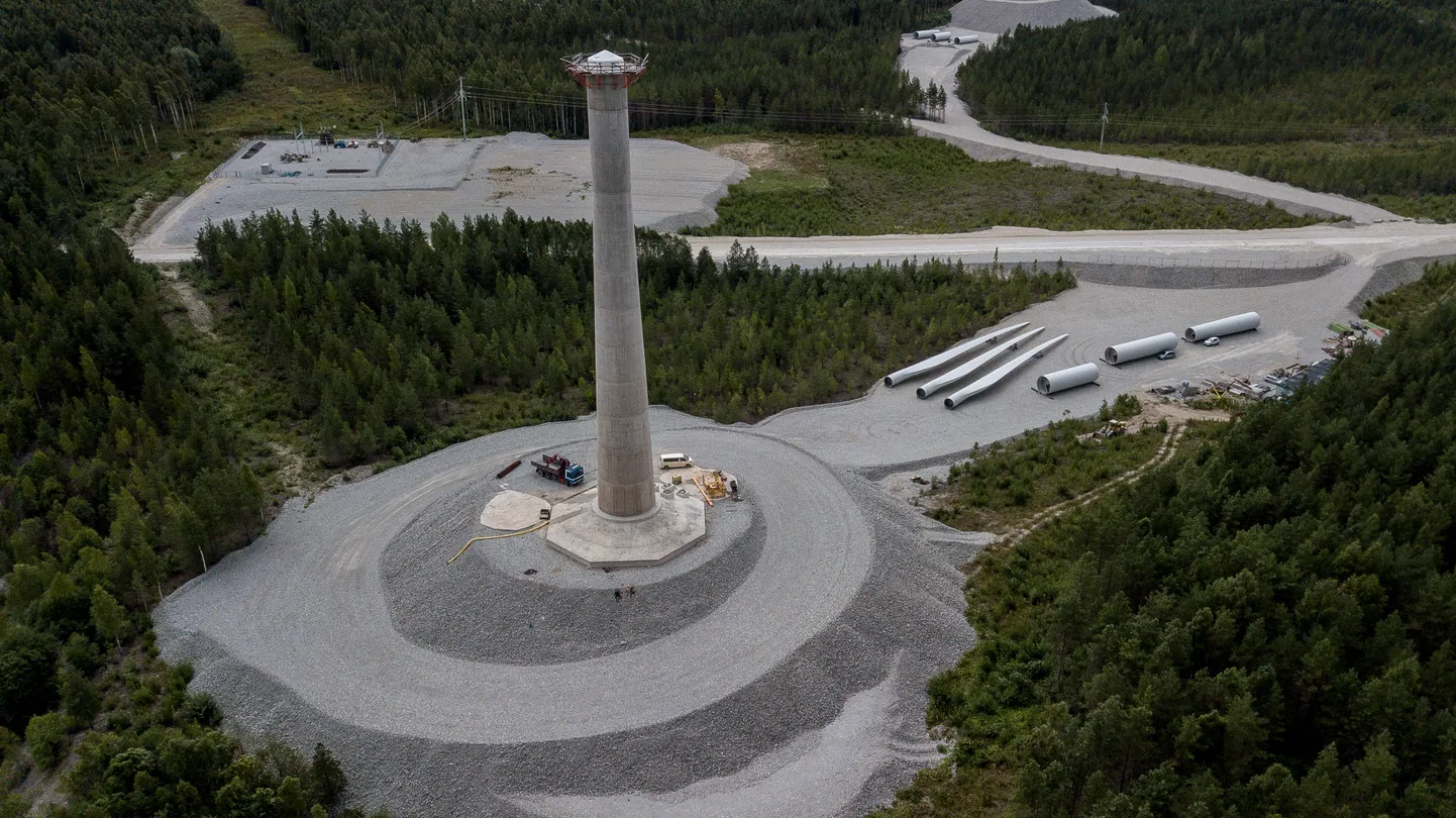 Sõnajalgade tuulikupark.