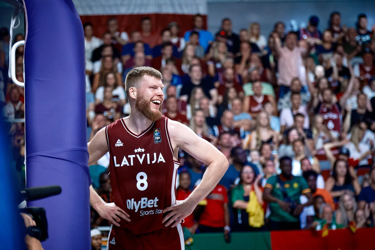 Dāvis Bertāns