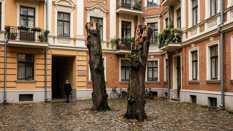 Muļķība vai ļaunprātība? Namīpašnieki Rīgas centra pagalmā n