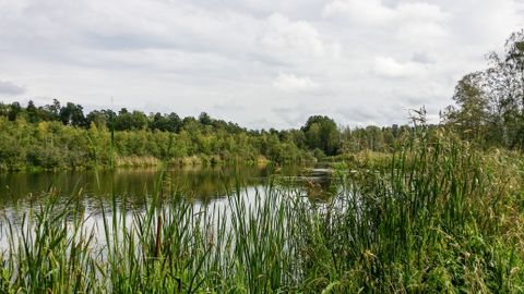 PEA IKKA KADUNUD ⟩ Rootsi kohus saatis eluks ajaks vangi mehe ema tapnud ja tükeldanud abielupaari