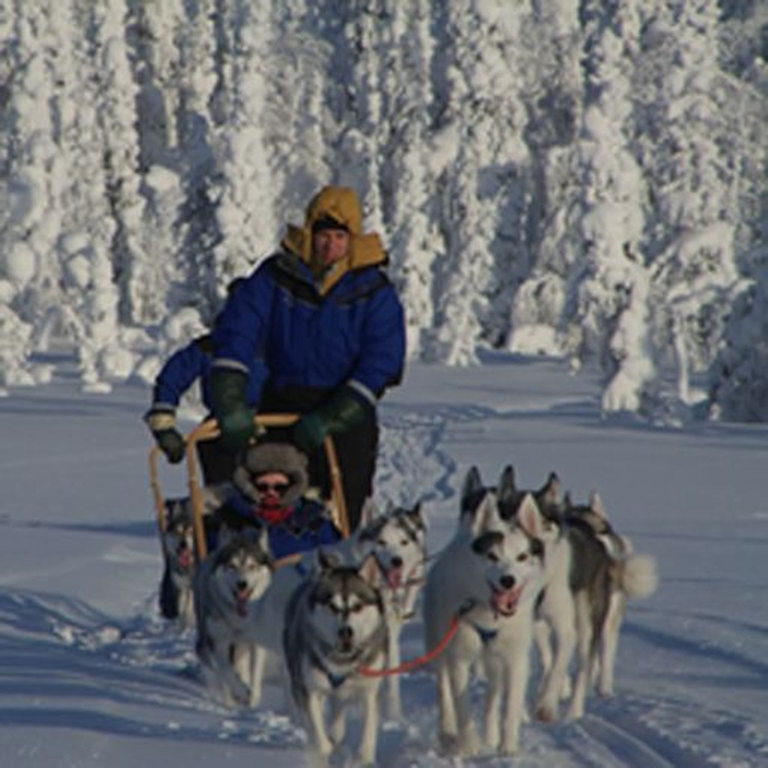 Lapimaa Sallas on populaarsed talvised tegevused.