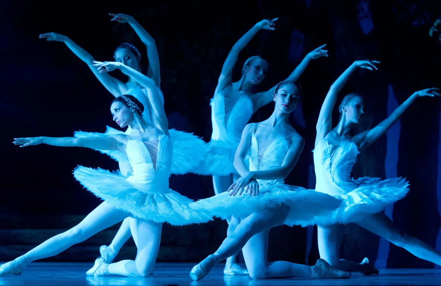 Estonia ballett «Luikede järv» on jätkuvalt menukas.
