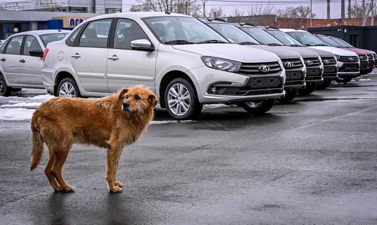 Iga kolmas Venemaal müüdud auto on praegu Lada.