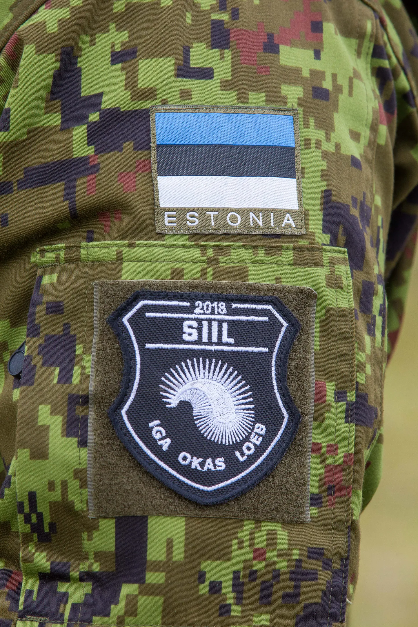 Siil 2018 embleem.
