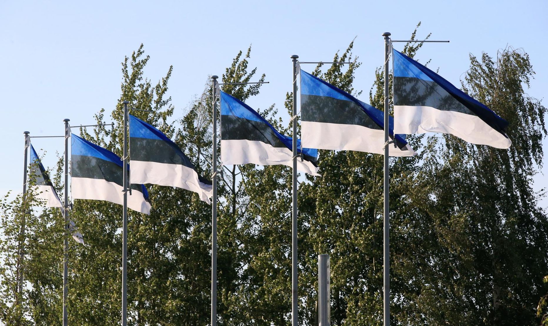 Eesti lipud Tartus ERM-i ees