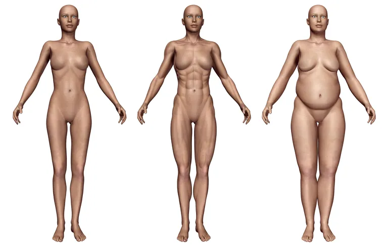 Kehatüübid ektomorf, mesomorf, endomorf.