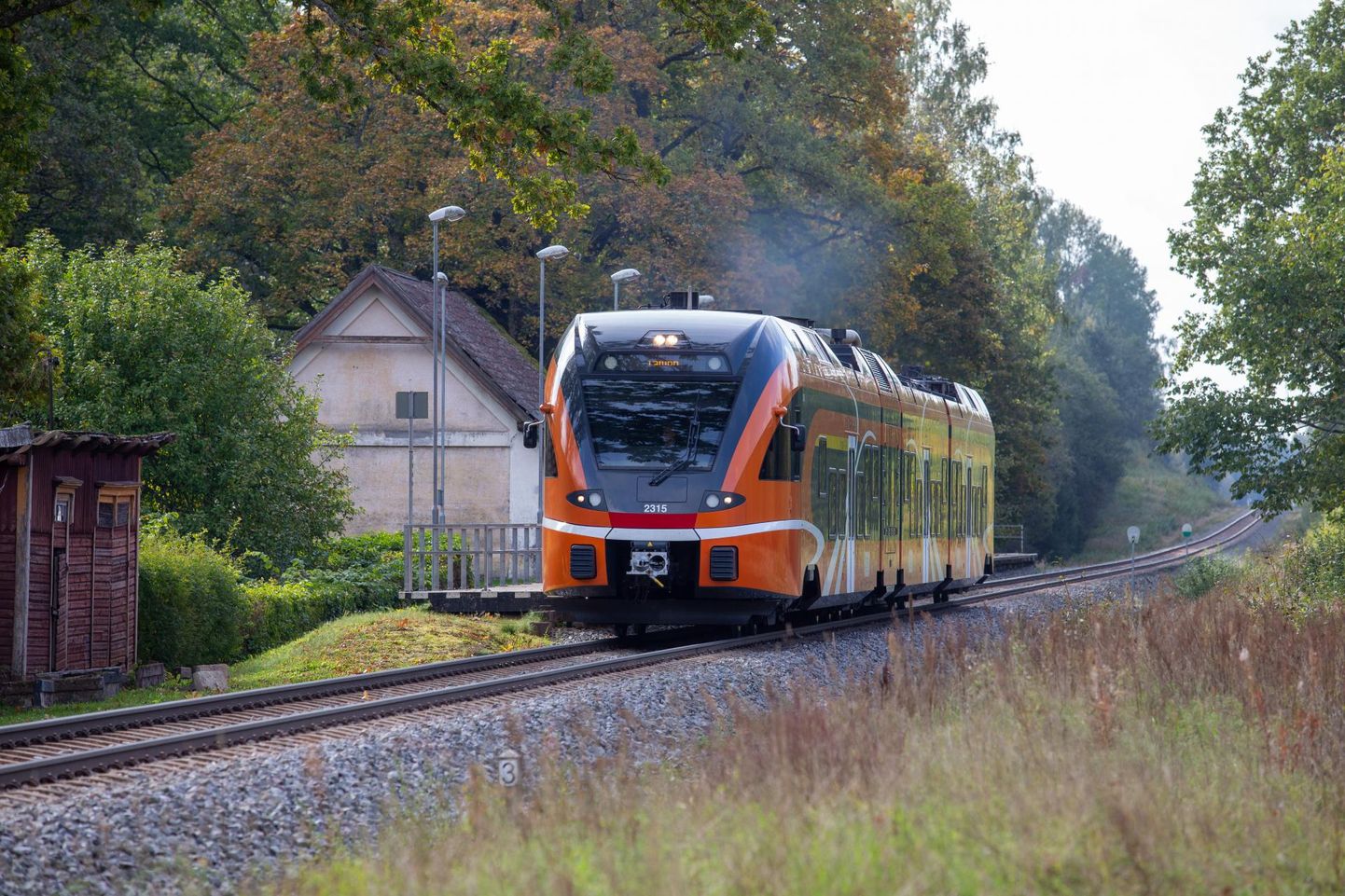 Elroni rong Olustvere raudteejaamas. Just Viljandi liinil on ajavõit bussiga võrreldes kõige väiksem.