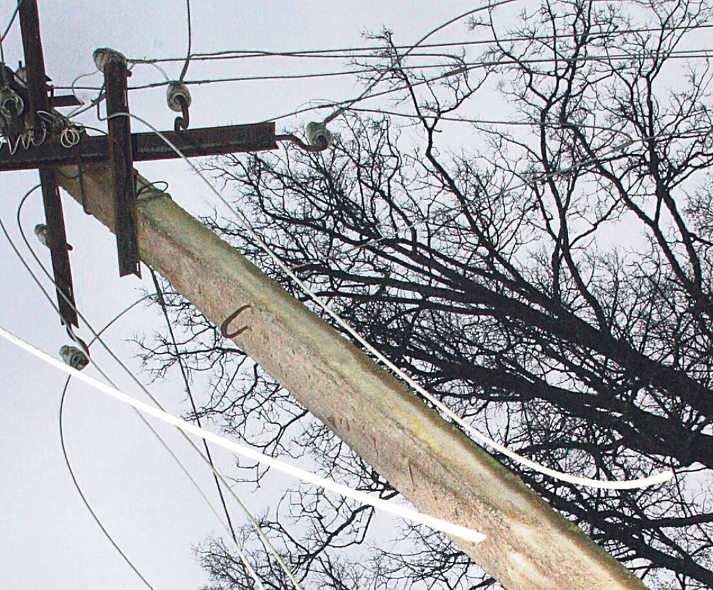 Kuna rannaäärsel Pärnumaal on tormituuled sagedased, vailitigi maakond elektrikatkestustest mobiilisõnumiga teavitamise katsetamiseks.