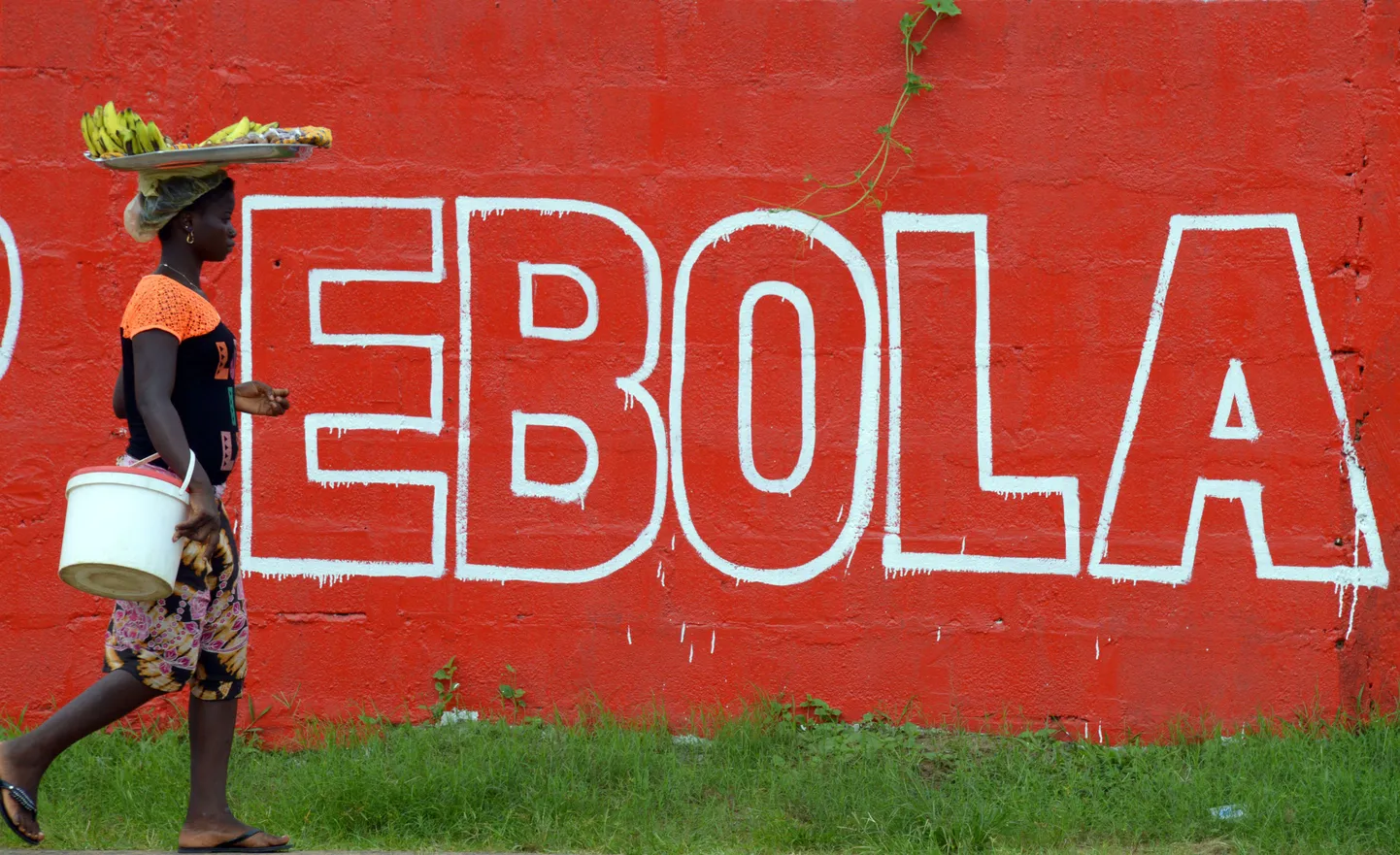 Социальная реклама, предостерегающая от Эболы.