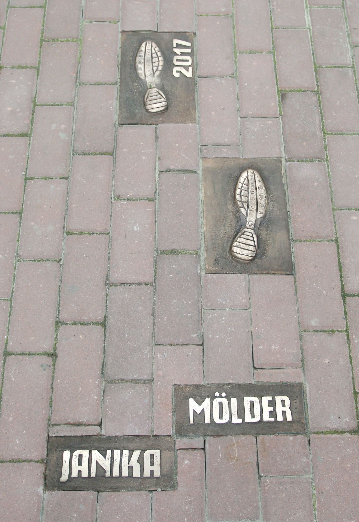 Möödunud aastal sai Teerajajate alleele oma jalajälje Janika Mölder.