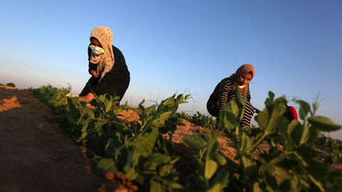Hamasi juht Gaza sektoris haigestus koroonaviirusesse