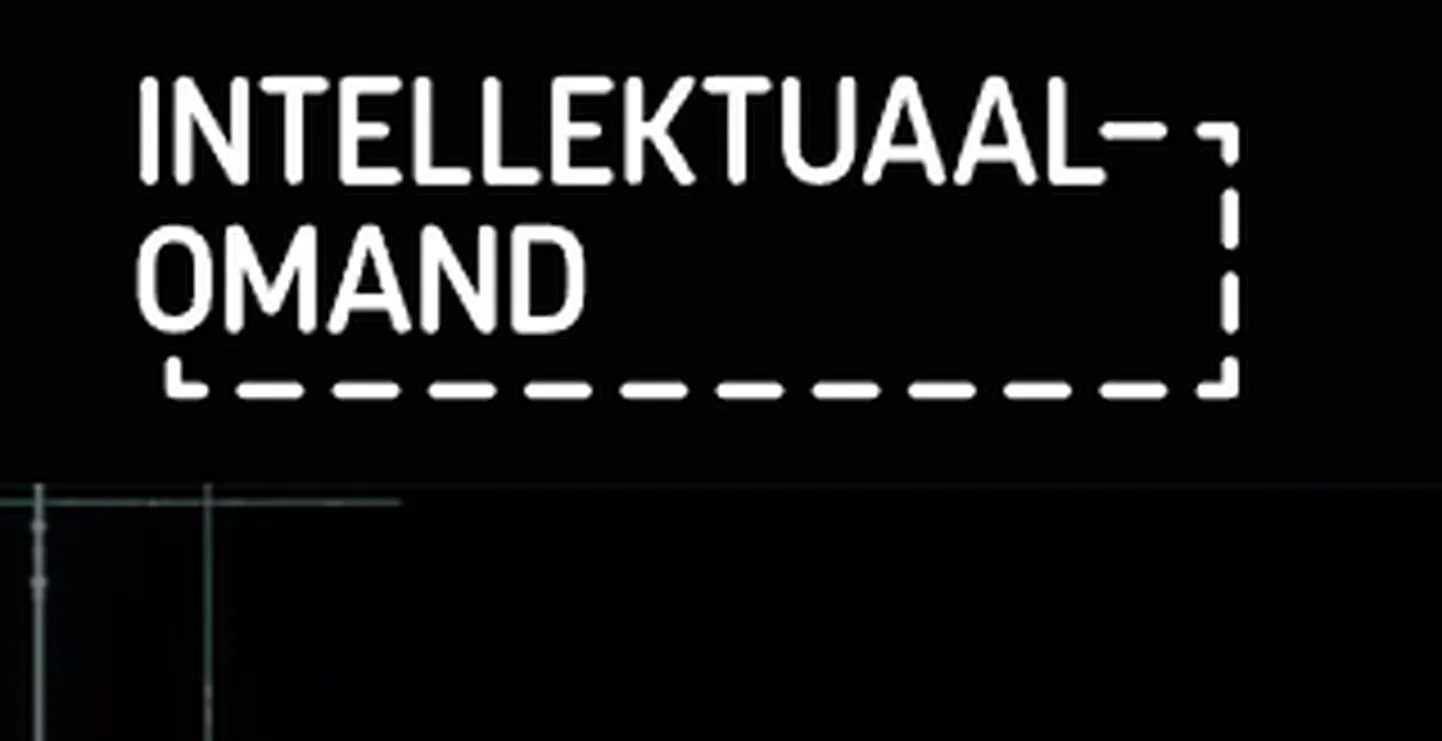 Intellektuaalomand