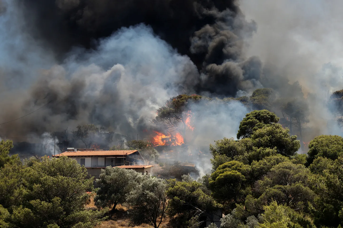 Mitmel pool Kreekas võib näha sarnast pilti, nagu Ateena lähistel Kerateas, kus maastikupõlengud on jõudnud elumajadele ohtlikult lähedale.