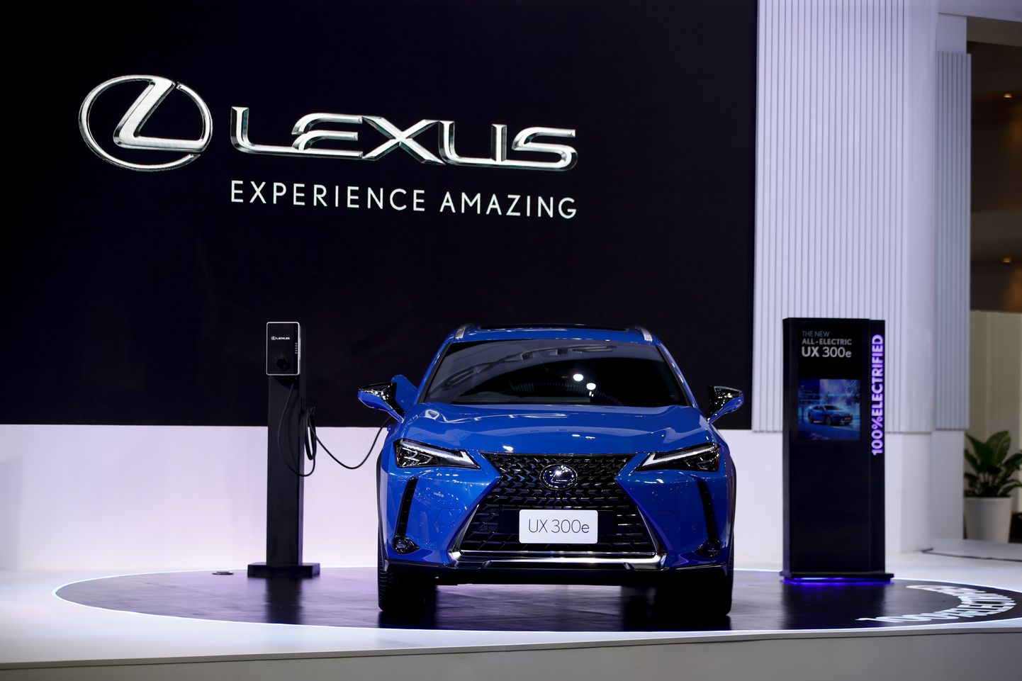 Elektriline Lexus EX 300