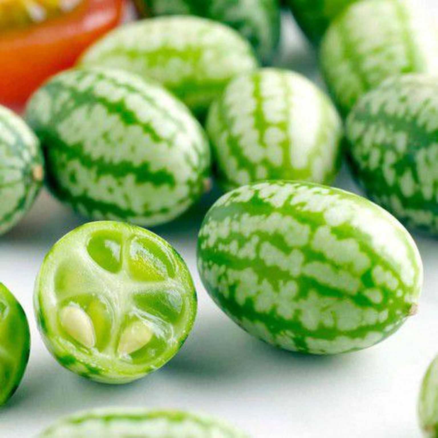 Mehhiko pisikurk lisab oma väiksuse ja kauniduse tõttu kõikidele salatitele üllatusmomendi.