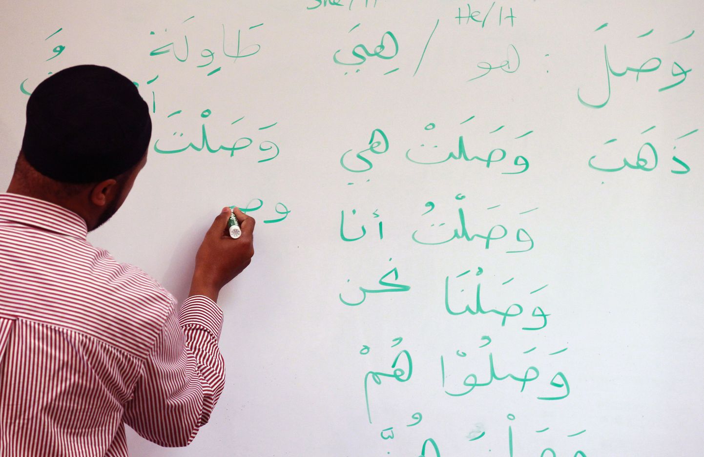 Araabia keele õppimise eripära sõltub ajupoolkerade tööst.