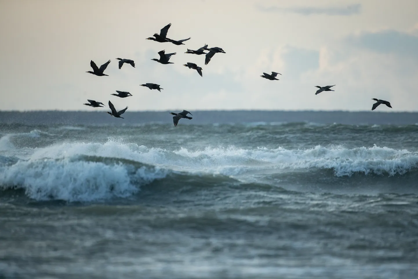 Geoportaali on kogutud Soome lahe merekeskkonna andmed Eestist, Soomest ja Venemaalt ning inimtegevuste võimaliku mõju info.
Stormy weather at the Bay of Tallinn, Baltic sea, storm, waves. 
Foto: Eero Vabamägi, Postimees Grupp