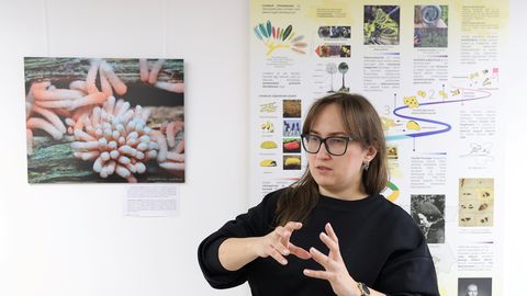 Ukraina teadlane näitab limakute imelikku vormirikust