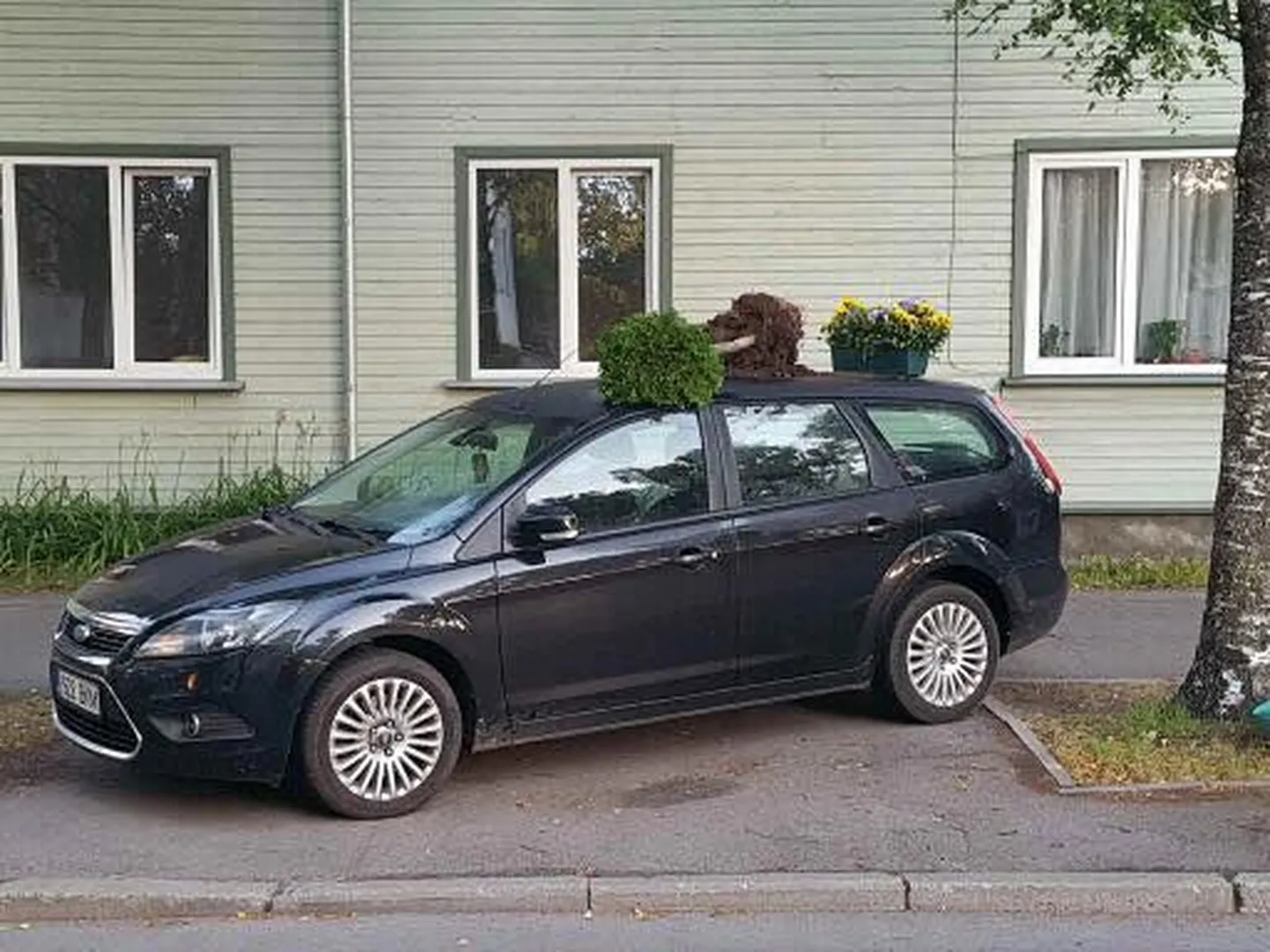 Märgatud 24 Pärnus