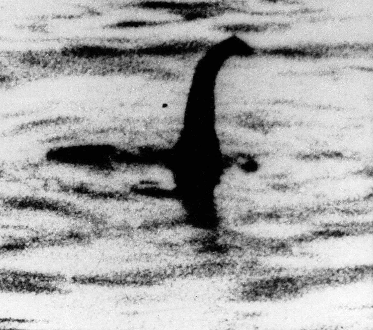 FILE -This is an undated file photo of a shadowy shape that some people say is a photo of the Loch Ness monster in Scotland. An underwater robot exploring Loch Ness has discovered a dark, monster-shaped mass in its depths. Disappointingly, tourism officials say Thursday April 14, 2016 the 30-foot (9 meter), object is not the fabled Loch Ness Monster, but a prop left over from a 1970 film.  (AP Photo, File)