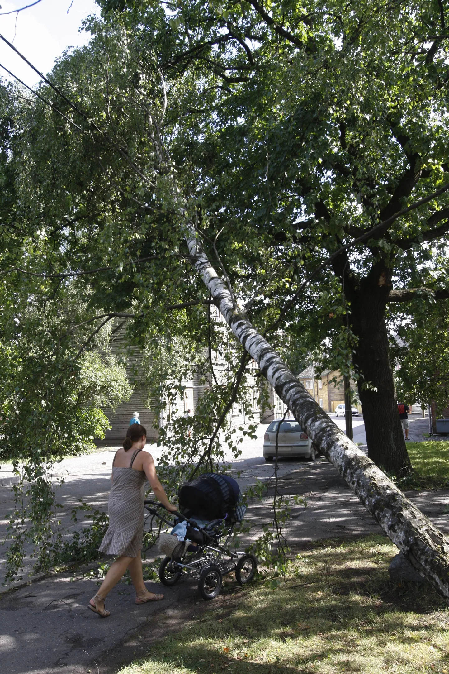 Tartut ja Tartumaad räsis tugev äikesetorm.
Pildil jalutab Lootuse tänaval lapsevankrit lükkav ema veel vaid elektriliini toel püsti püsiva puu alt läbi.