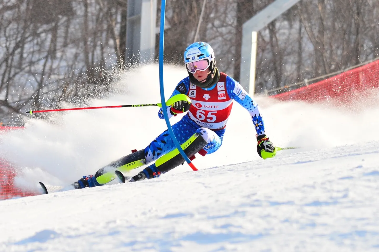 Tormis Laine slaalomirajal.