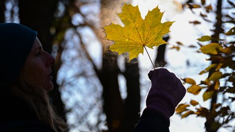 В День Лачплесиса ожидается слабый ветер и небольшой дождь
