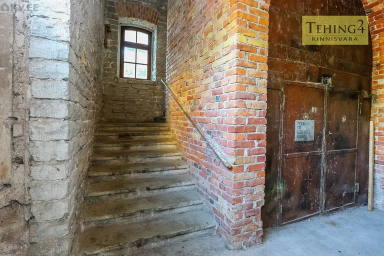 Фото статьи