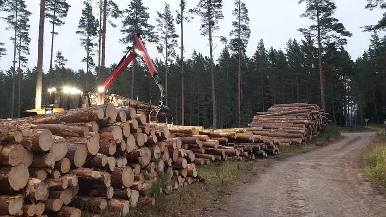 Metsaandmete salastamine ei võimalda arutelu, kas metsa raiutakse liiga palju või mitte. Fotol üle-eestilist pahameelt tekitanud metsaraie Ikla ja Häädemeeste vahelises luitemetsas.