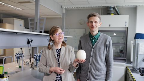 Kas vabapidamisel kanade munad on tegelikult paremad?