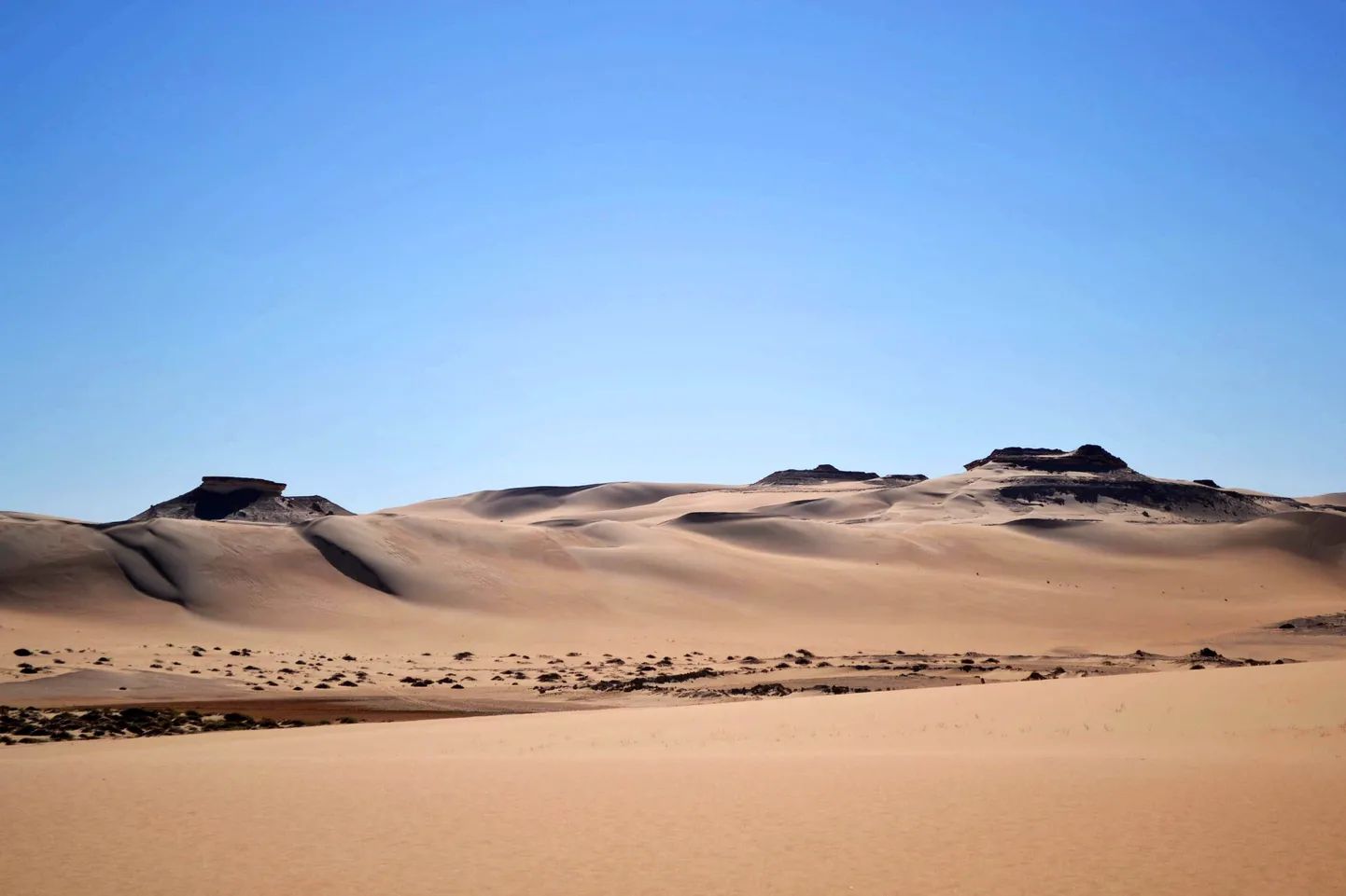 Sahara kõrb.