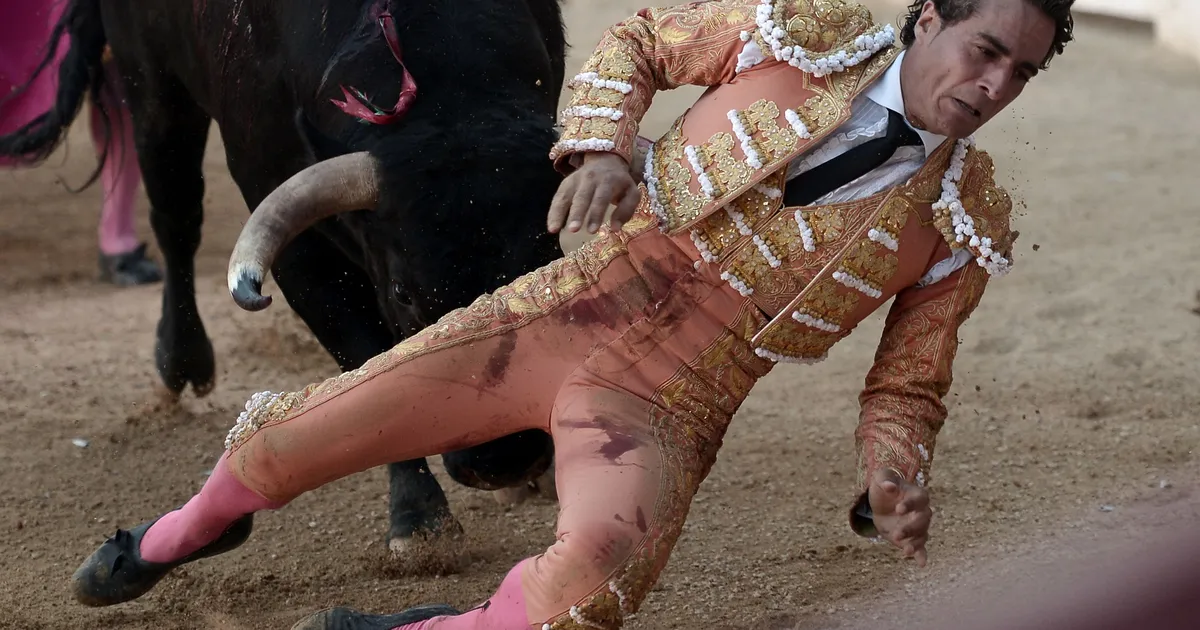 Juego torero