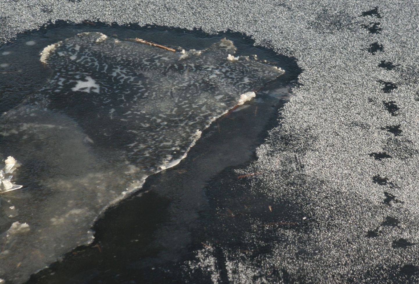 Veekogudele tekkinud jää on veel väga nõrk.