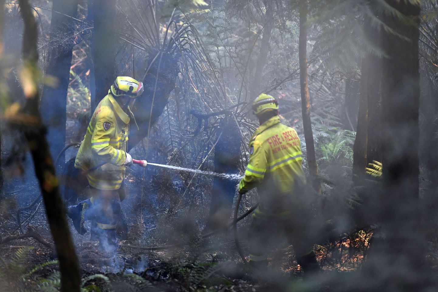 Tuletõrjujad kustutamas võsapõlengut Austraalia Uus-Lõuna-Walesi osariigis.
