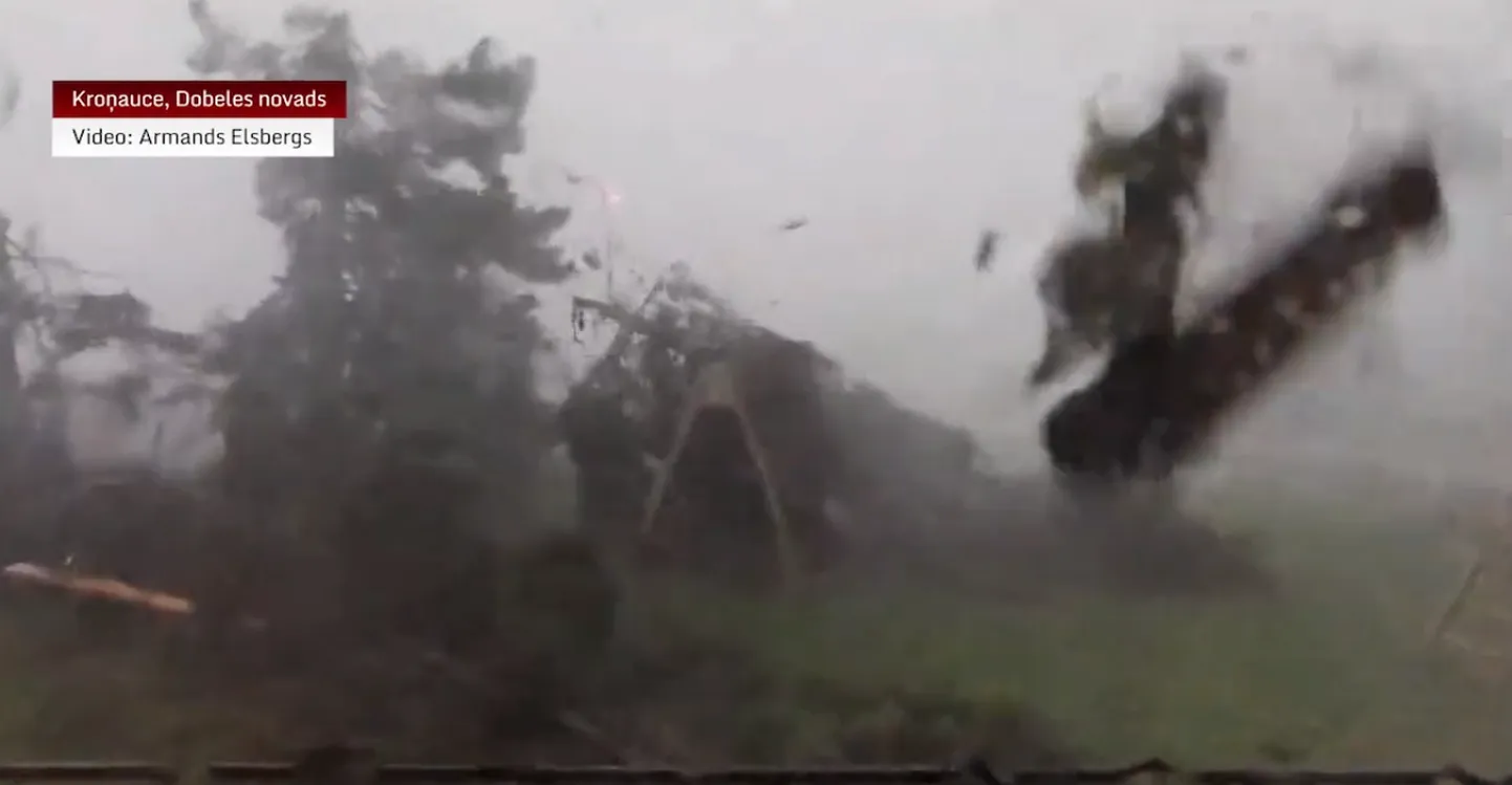 В Кроньауце очевидцы запечатлели, как буря впечатляюще ломает несколько деревьев