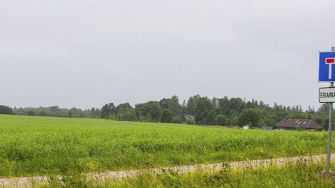 Talupidajad on pahased. «Sööge põlluservast palju kõhtu mahub, aga kui kotiga korjama tulete, on see vargus!»