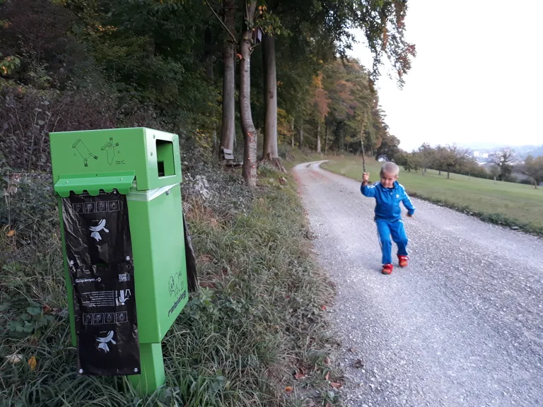 Koerakaka kast keset loodust