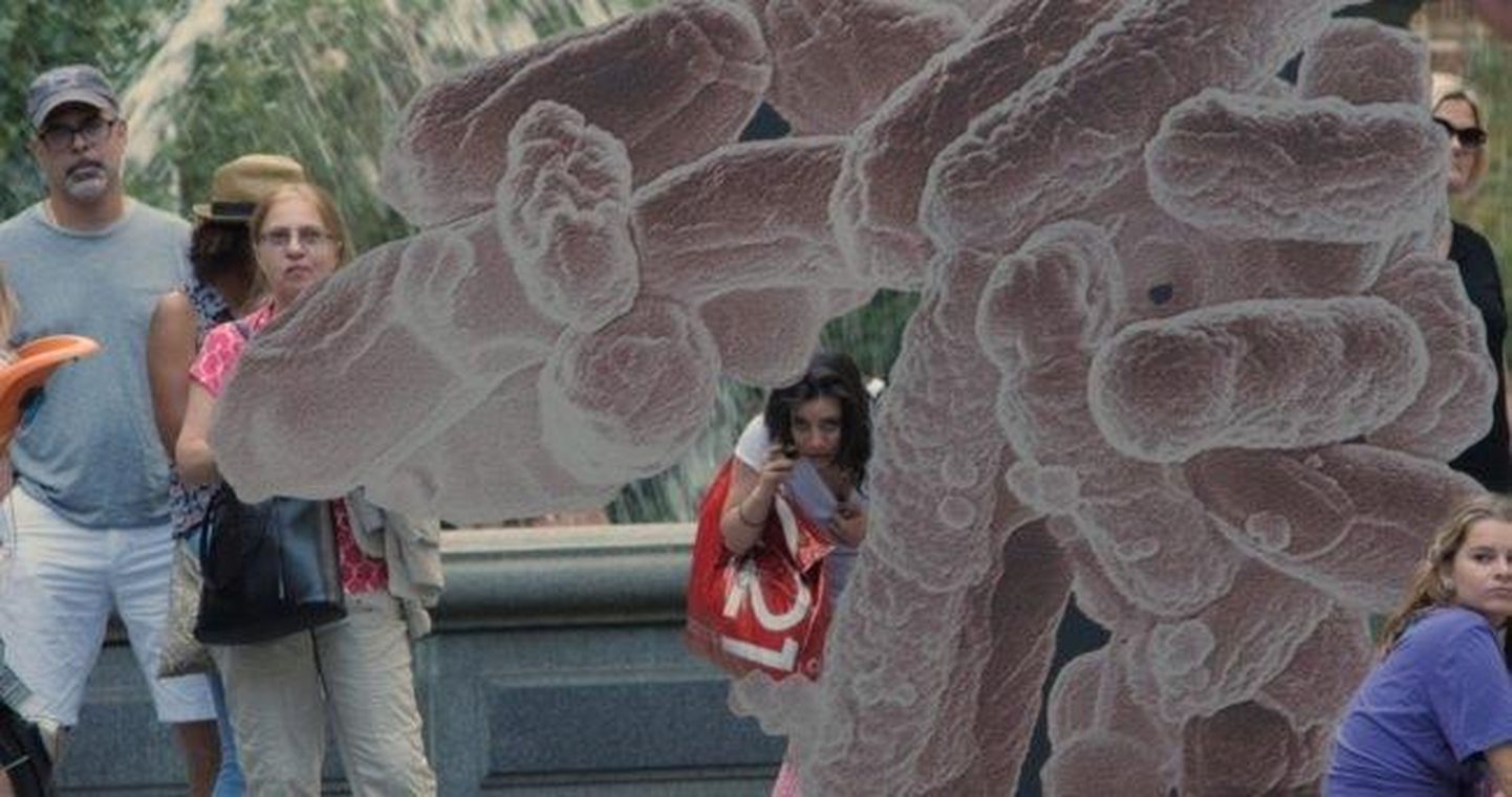 Katja Novitskova skulptuur «E. coli» näituselt «Maa potentsiaal» New Yorgi Linnavalitsuse pargis (Public Art Fund, 2017)