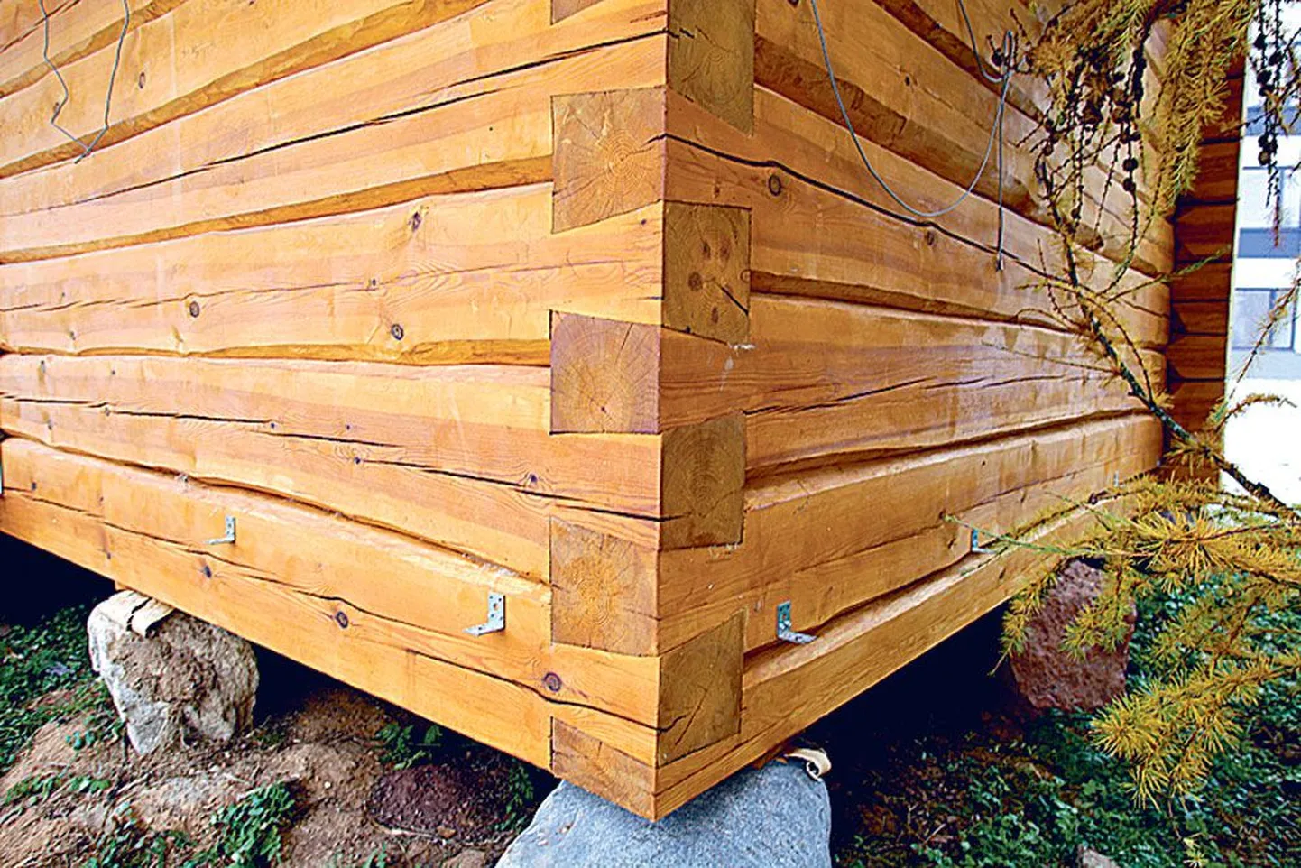 Kalasabatapp on tuulekindlaim.