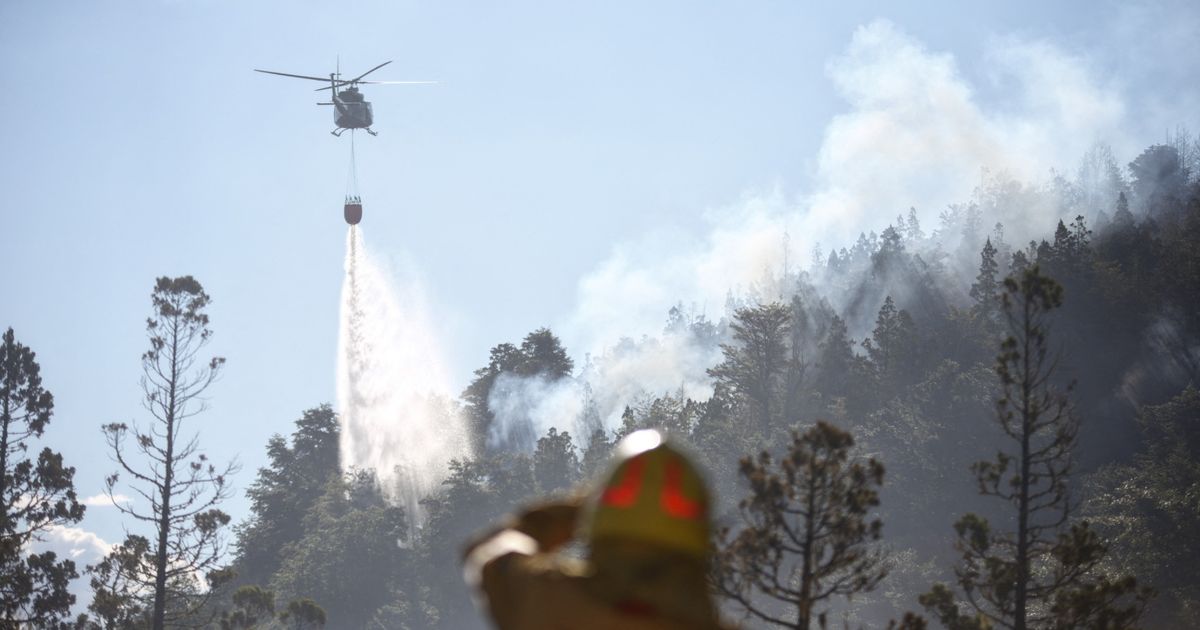 Argentina rahvuspargi põlengu põhjustas süütamine