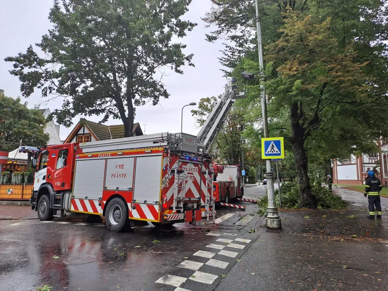 Päästjad eemaldasid autole kukkunud puu teelt.