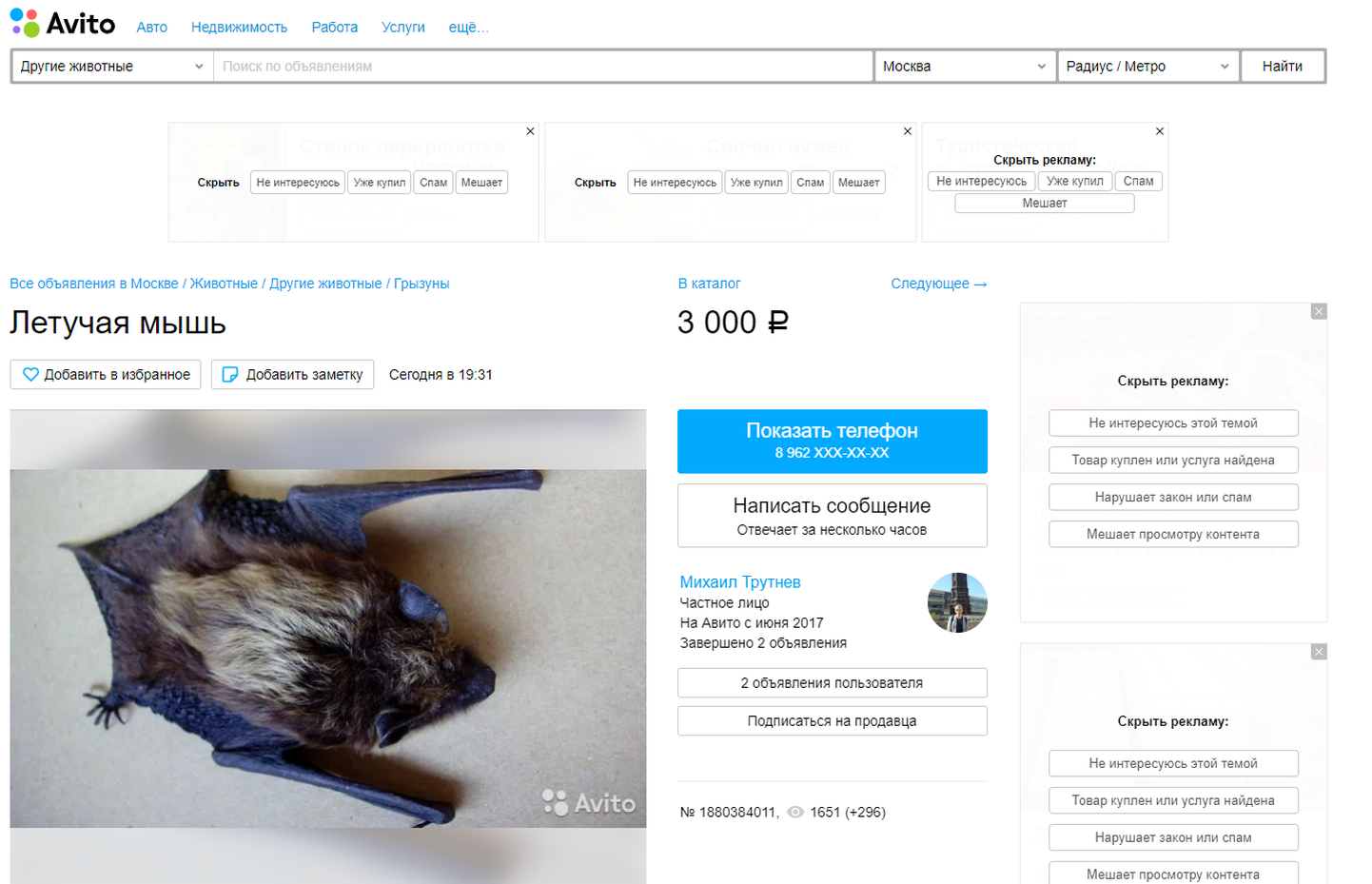 Moskavlane Mihhail ostis 5. jaanuaril Wuhanist nahkhiire ja müüb nüüd looma ostukeskkonnas Avito.