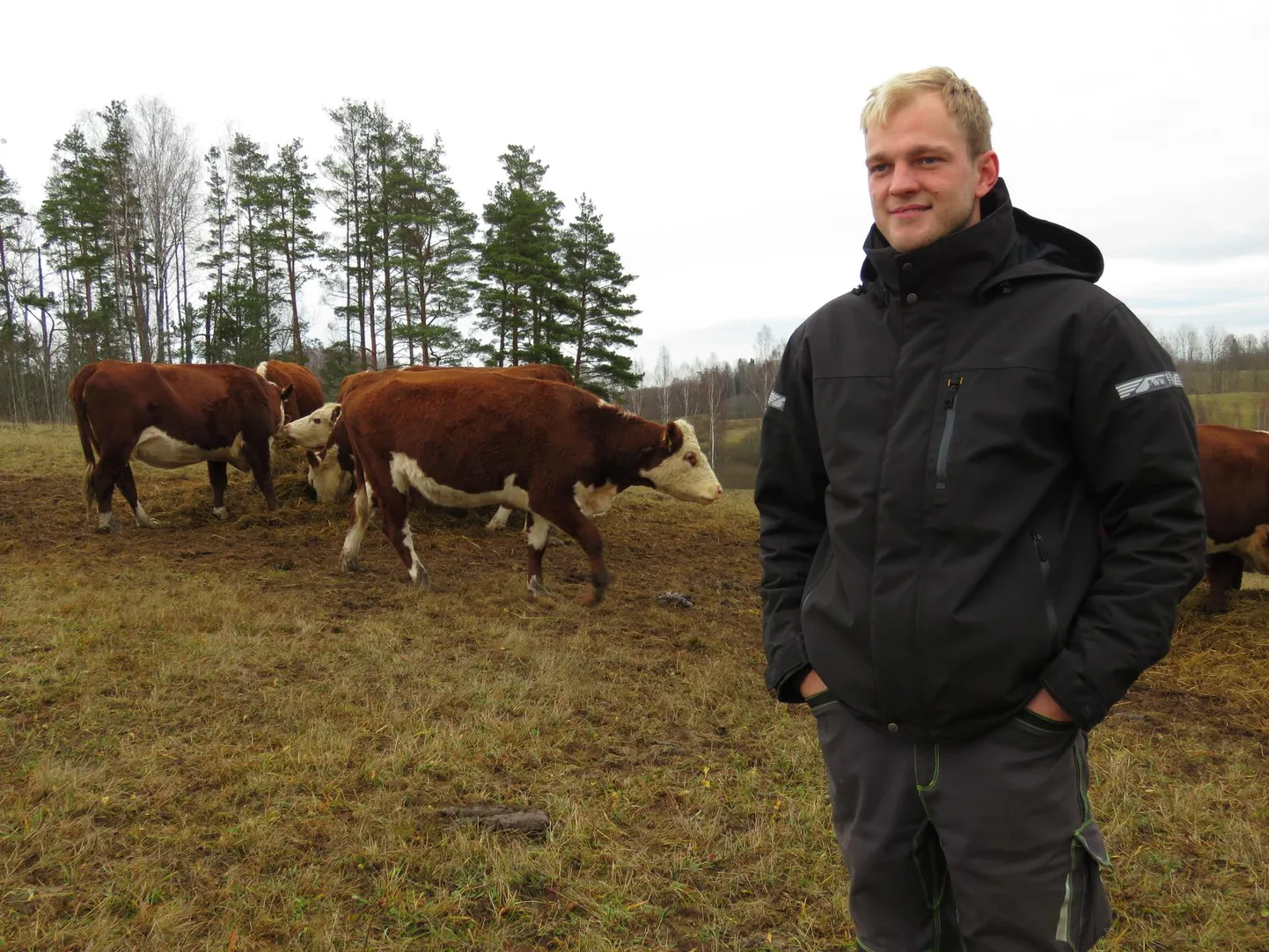 Herefordi tõugu lihaveiseid kasvatav Eesti parim noortalunik Mehis Visnapuu ütleb, et Karula kant on tema jaoks parim, kus elada ja põllumajandusega tegeleda.