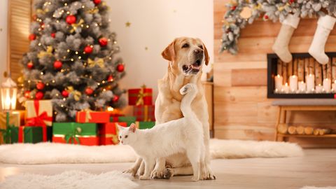 В пятницу местами выглянет солнце